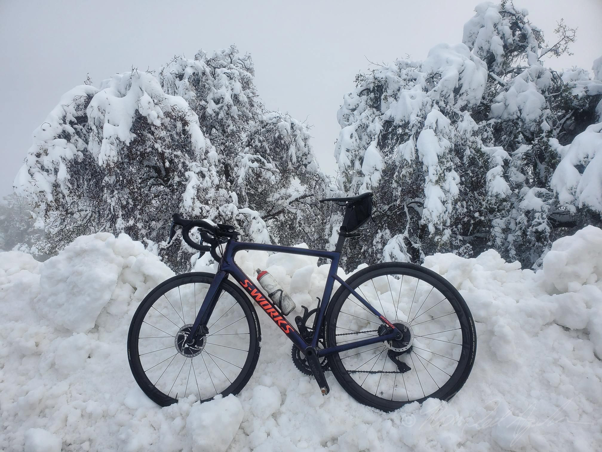 Hamilton Bike.jpg
